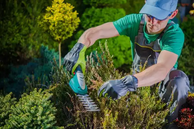 landscaping services Carthage